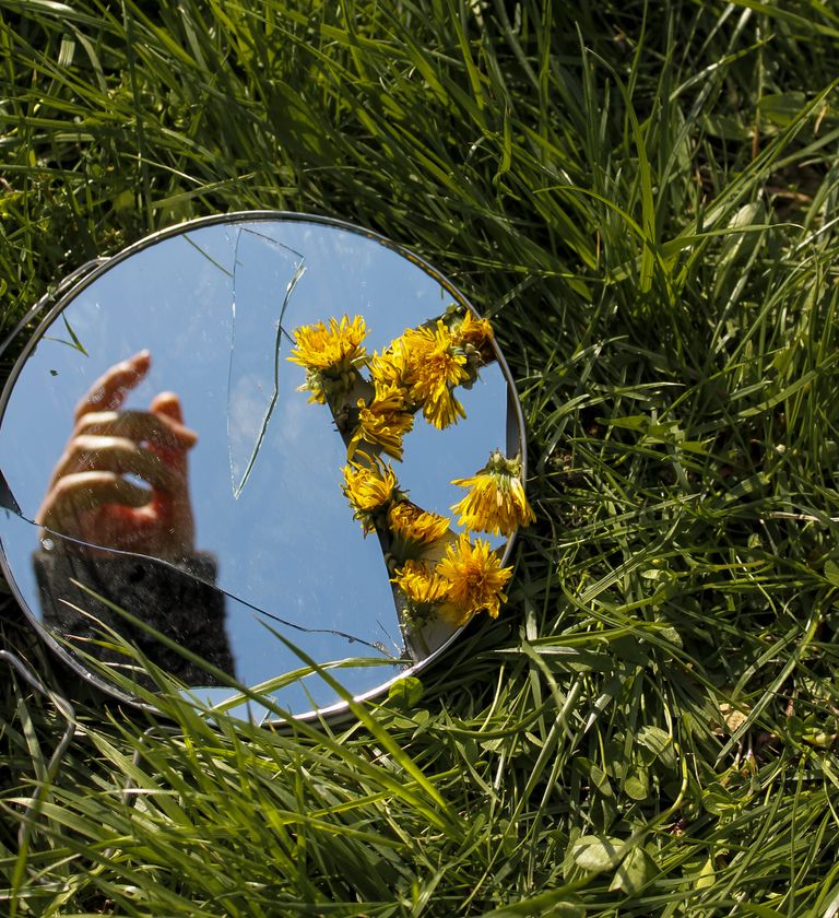 A broken mirror in grass reflects hand and dandelions, creating a unique artistic scene.